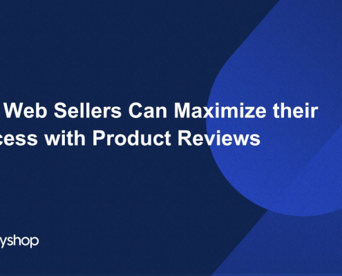 Web Sellers Can Maximize their Success