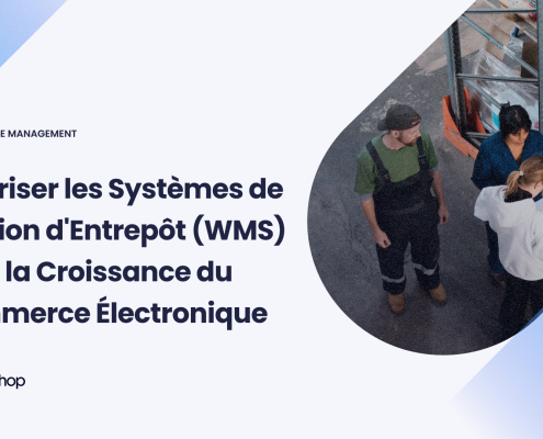 Maîtriser les Systèmes de Gestion d-39_Entrepôt WMS pour la Croissance du Commerce Électroni