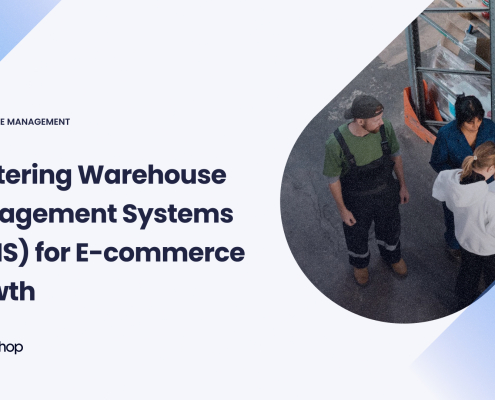 Mastering Warehouse Management Systems WMS for E-commerce Growth